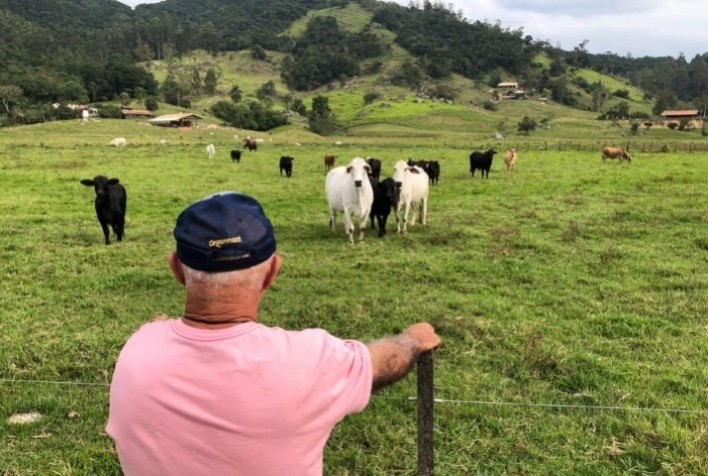 Força da pecuária de corte em Tubarão e região atrai novos olhares