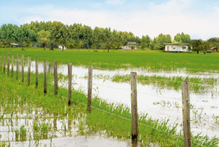 O melhor cercamento em clima quente e úmido é foco da Belgo no Rondônia Rural Show