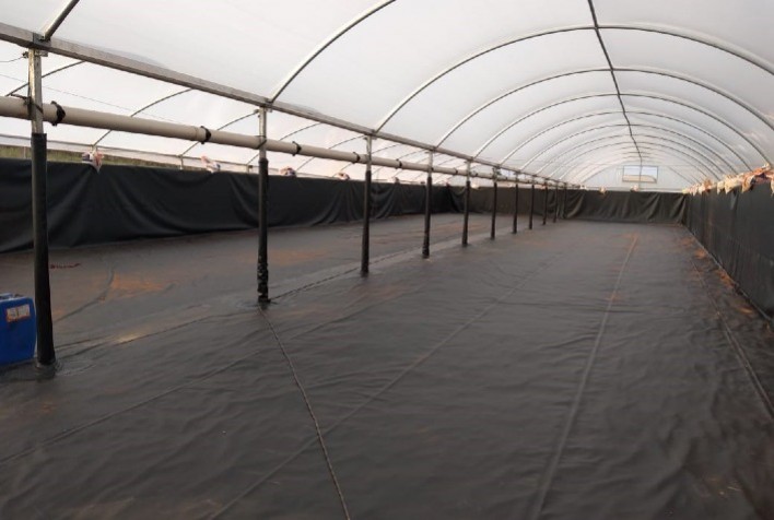 Cipatex leva soluções para cultivo de peixes e camarões em cativeiro na Aquishow