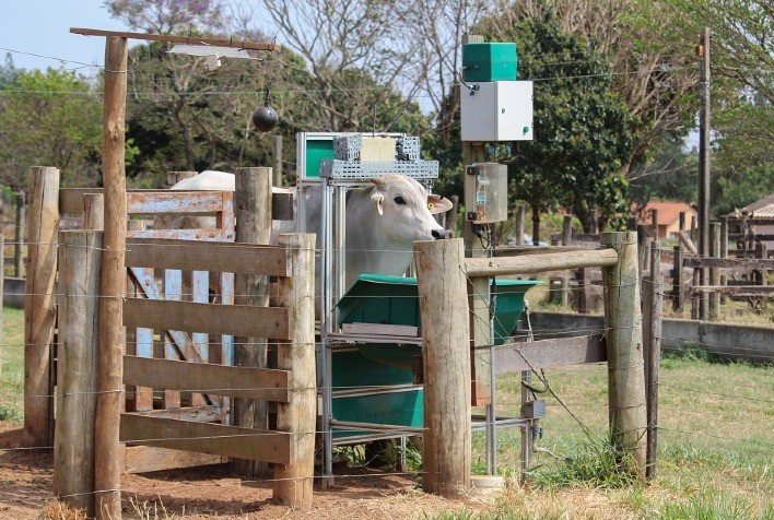 Pecuária digital alia eficiência e sustentabilidade