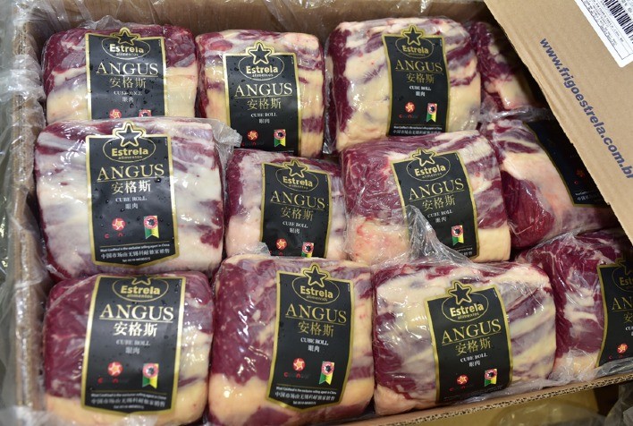 Exportação de carne bovina aponta quedas expressivas em todos os grandes Estados exportadores