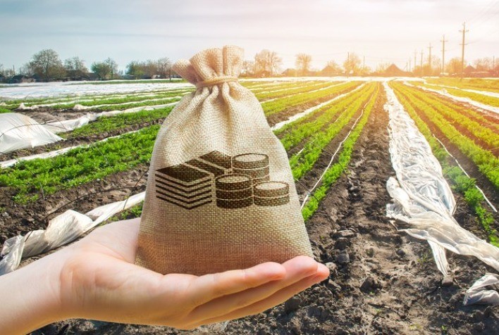 CRÉDITO RURAL: Governo ajusta distribuição de limites equalizáveis do Plano Safra 2022/2023