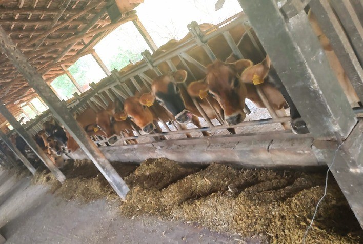 Conhecimento e tecnologia somam para evolução no campo