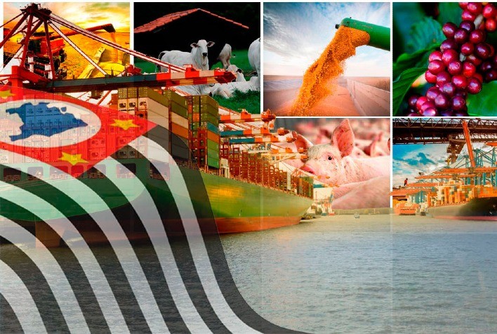 Exportações do agronegócio em São Paulo crescem 4,3% em 2023 e registra superávit de US＄ 6 bi