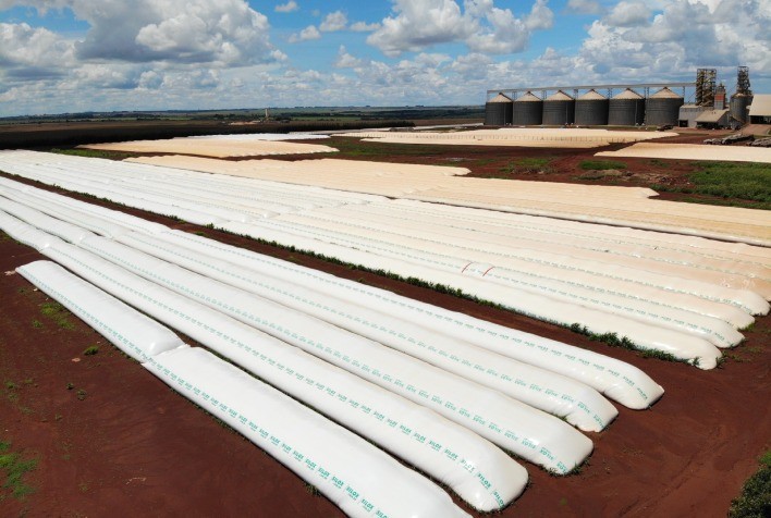 Planejar a armazenagem da produção deve começar antes do plantio