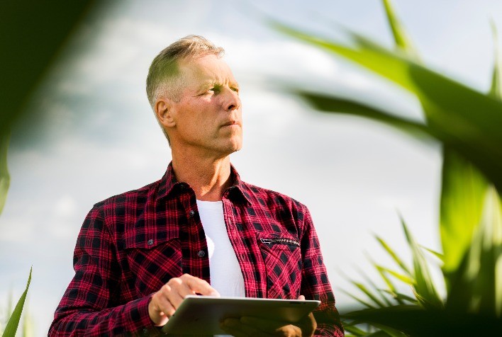 Novas tecnologias apoiam capacitação profissional no agronegócio