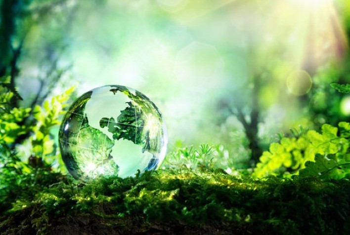 Dia Mundial do Meio Ambiente