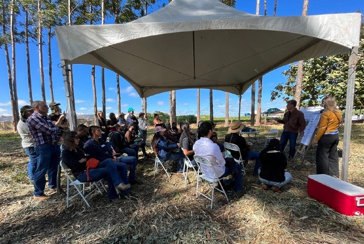 Experiência de produtores rurais e resultados mais recentes das pesquisas são foco do Dia de Campo ILPF