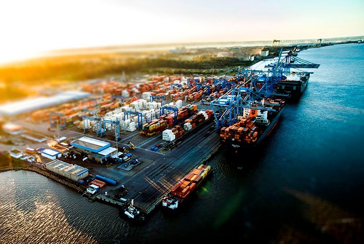 ABPA vê baixo risco de embargo nacional à exportação de frango em caso de gripe aviária