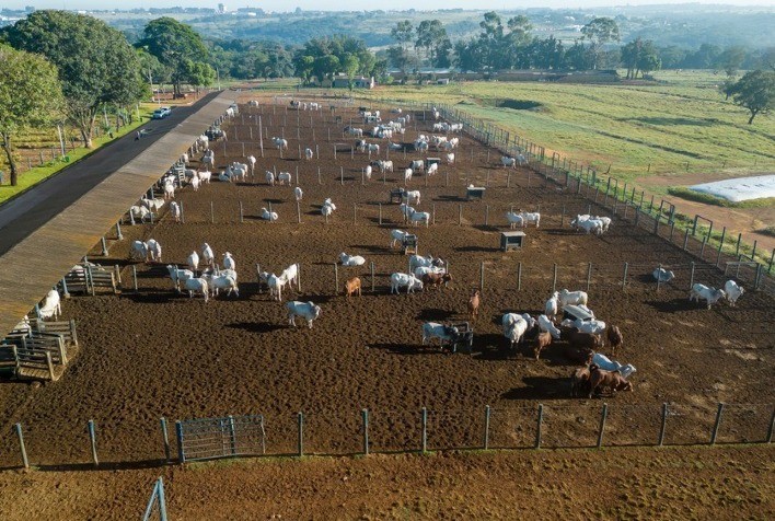 ExpoGenética 2023: ABCZ prepara programação que destaca o melhoramento genético de zebuínos