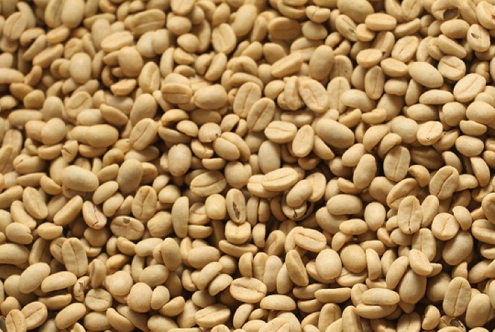 Epamig inicia comercialização de sementes de café