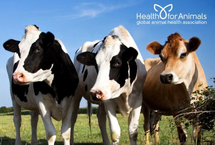 Relatório da Oxford Analytica destaca impacto da vacinação de bovinos entre medidas para aumentar prosperidade econômica, ambiental e social