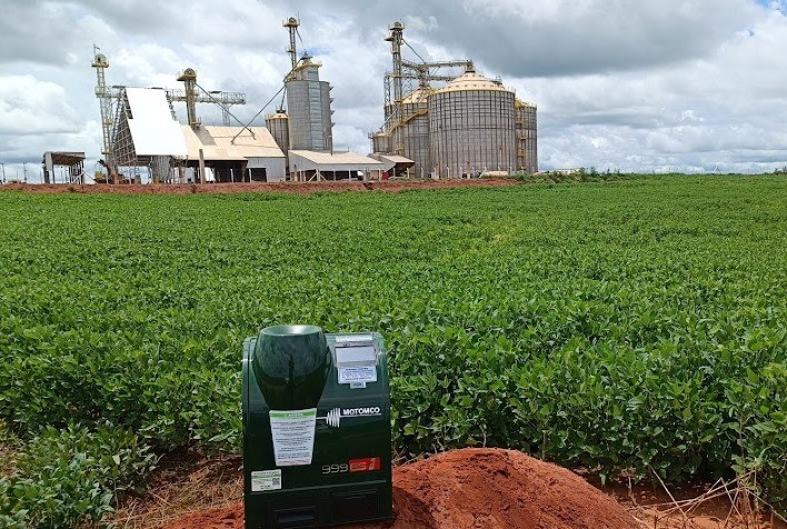 Déficit de armazenagem compromete qualidade dos grãos e traz perdas ao produtor rural
