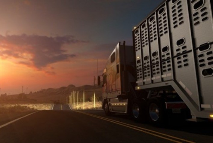 ANTT: Agência aprova redução dos valores dos pisos mínimos de frete