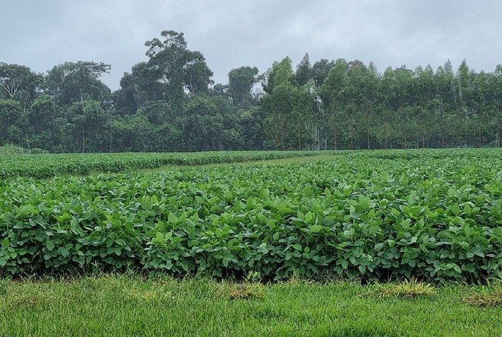 Pesquisa estuda as tendências de chuvas em Mato Grosso nos últimos 34 anos