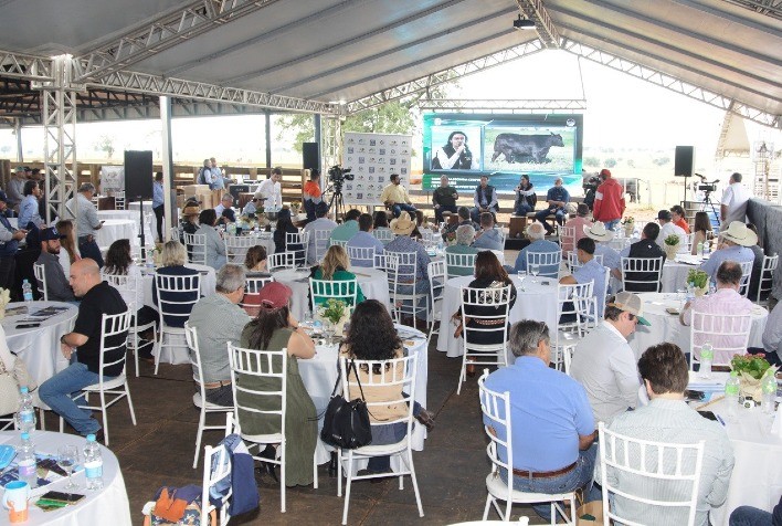 Manejo eficiente, lucratividade e carne de qualidade foram pilares do Dia de Campo Brangus HP