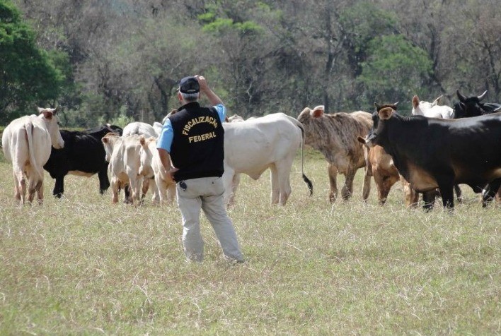Falta de auditores agropecuários prejudica controle de doenças e pragas que chegam em voos internacionais, alerta sindicato