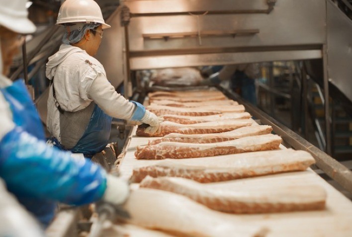 Carne bovina: junho começa com preço da proteína exportada em queda na comparação com o mesmo mês de 2022