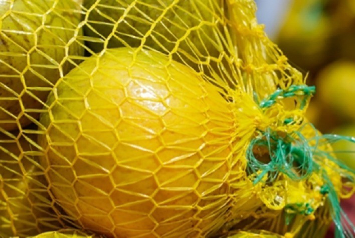 Citros: Demanda por laranjas está fraca no mercado de mesa, mas firme para a indústria