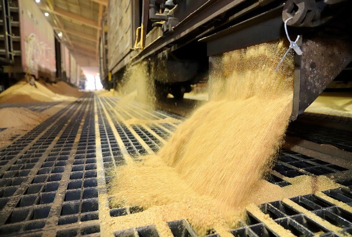 Porto de Paranaguá registra aumento de transporte de cargas por ferrovia em maio