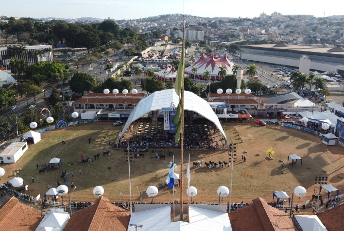 Megaleite 2023 movimenta R$210 milhões e garante novos benefícios para os produtores