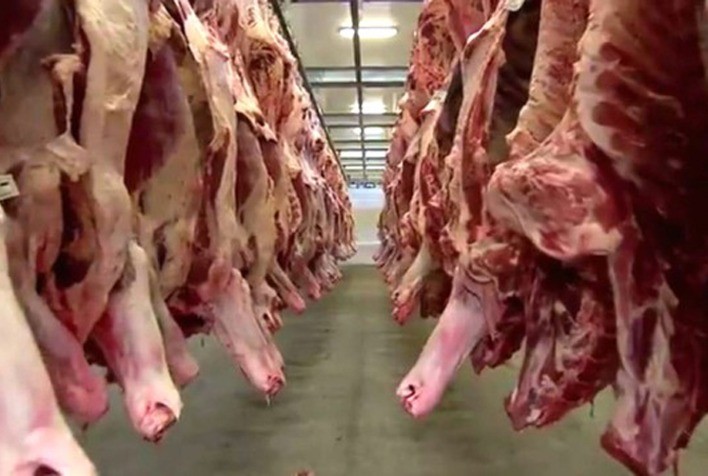 Exportação de carne bovina atingiu o maior volume do ano em maio