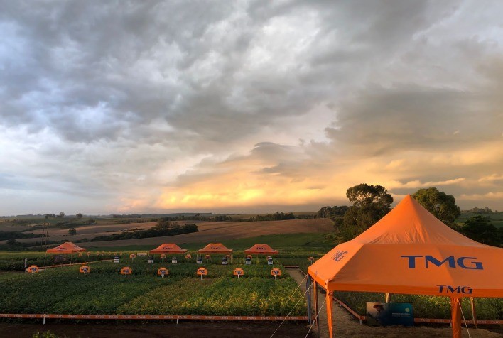 TMG expande atuação com o lançamento de cultivares em países da América Latina