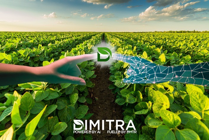 Parceria entre ABRAFRUTAS e Dimitra rende resultados positivos para o setor de frutas no Brasil
