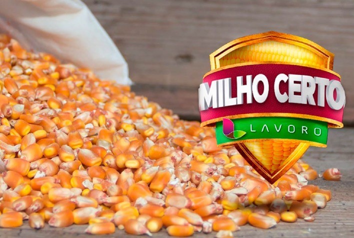 Milho Certo: Lavoro distribui mais de R$ 21 milhões em descontos para agricultores que participaram da campanha