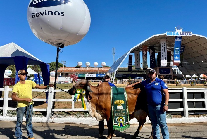 Nutrição adequada ajuda a fortalecer imunidade e traz ganhos de produção ao Girolando