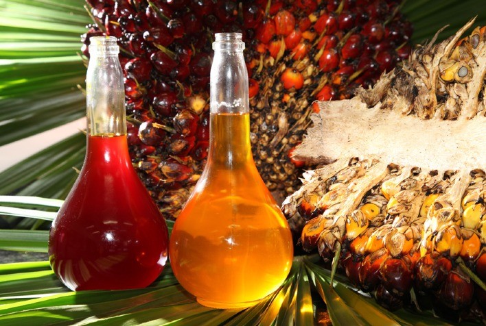 Importações de óleo de palma pela Índia em maio caem para mínima de 27 meses
