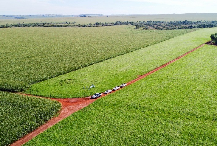 Giro do Milho: palestra vai mostrar como reduzir custo e produzir mais usando plantas de cobertura
