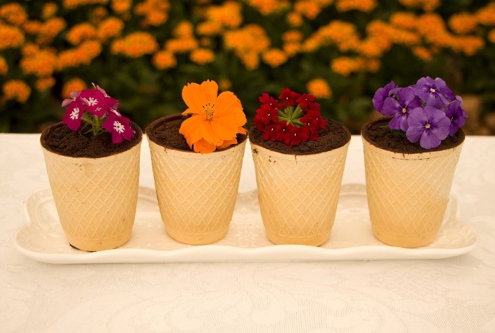 Expoflora inova na gastronomia e lança sobremesa exclusiva com toque de lavandula, salada de flores e muito mais