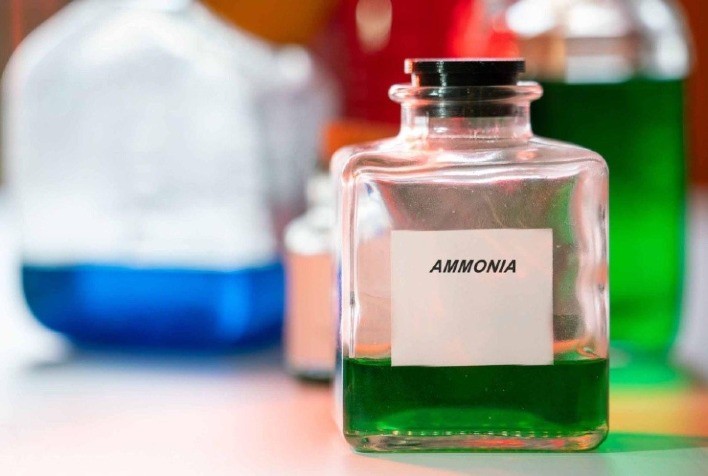Amônia Verde: combate à fome e torna o planeta mais sustentável