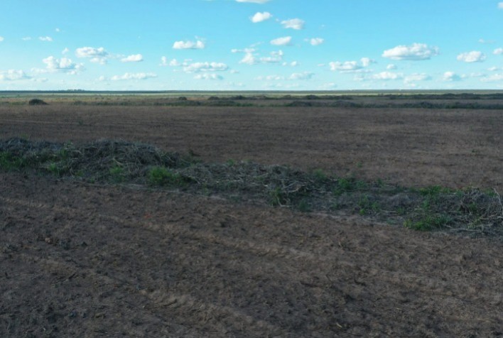 Tocantins e Maranhão responderam por 60% do desmatamento do Cerrado em maio