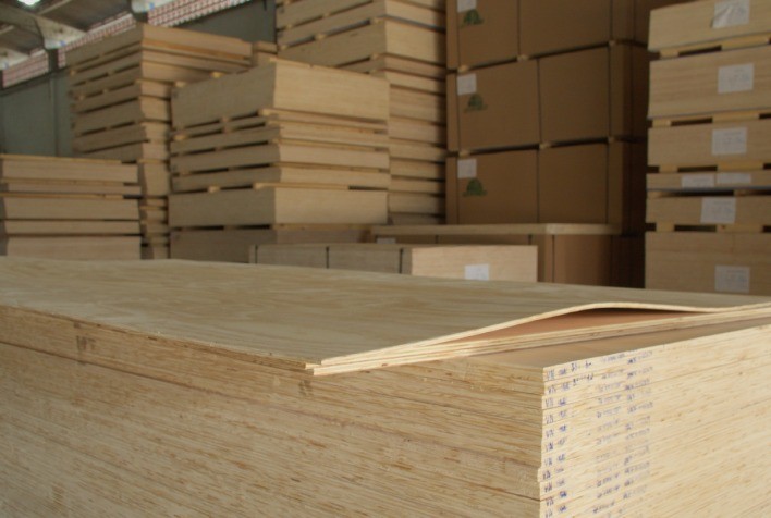 WoodFlow amplia visibilidade de madeira brasileira no Reino Unido