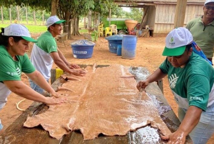 Couro bovino é aproveitado em comunidade rural de Mato Grosso