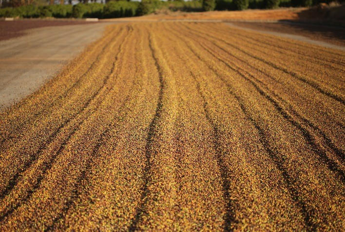 Região do Cerrado Mineiro marca presença na World of Coffee na Grécia
