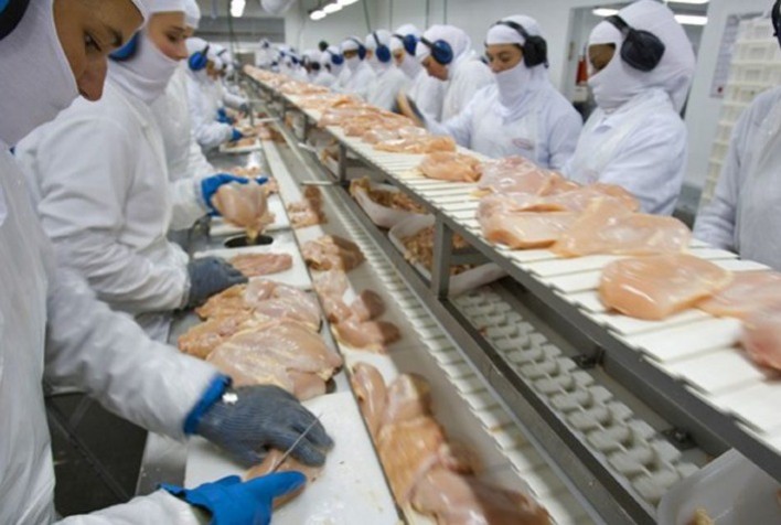 Carne de frango: receita cambial gerada pelos 10 principais importadores aumenta cerca de 20% no ano