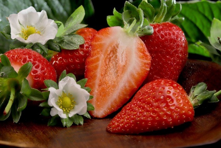 Nova cultivar de morango permite plantio antecipado e produção por até sete meses