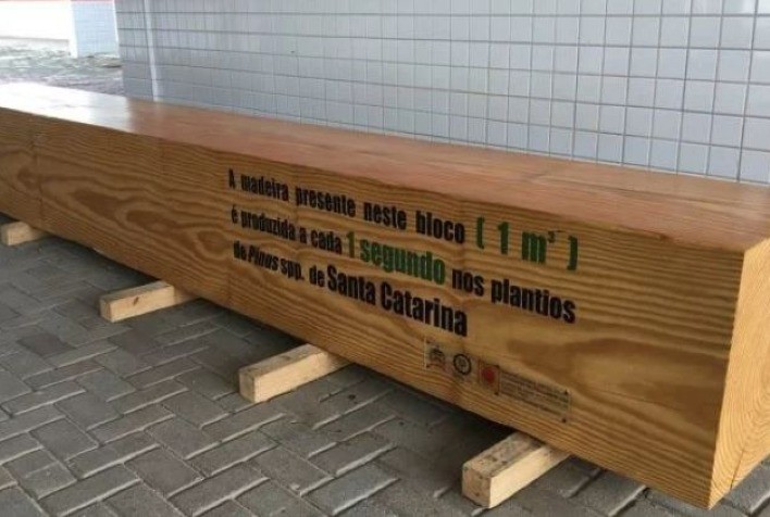 Um metro cúbico de madeira de pinus por segundo