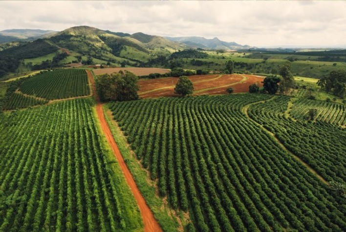 Conhecida pelos queijos artesanais, Canastra agora lança marca território do café