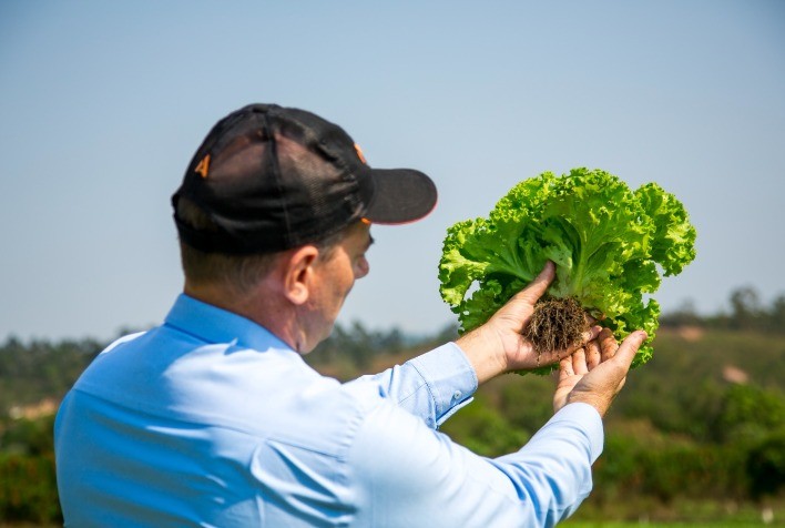Adubos com tecnologia orgânica exclusiva aumentam eficiência na hortifruticultura