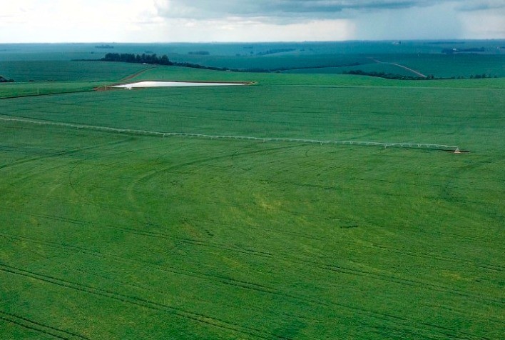AGRICULTURA: IDR-Paraná alerta produtores de milho e cereais de inverno sobre atividade do El Niño