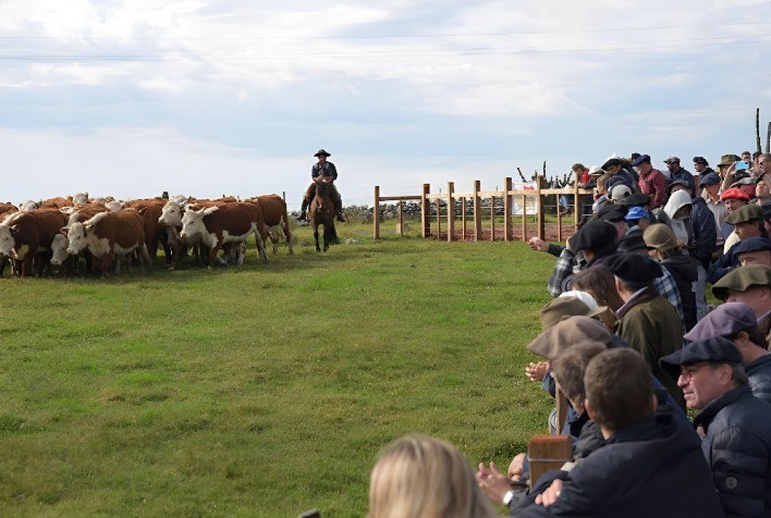 Trabalho da SIA no Uruguai é case de sucesso em mudança no sistema de produção