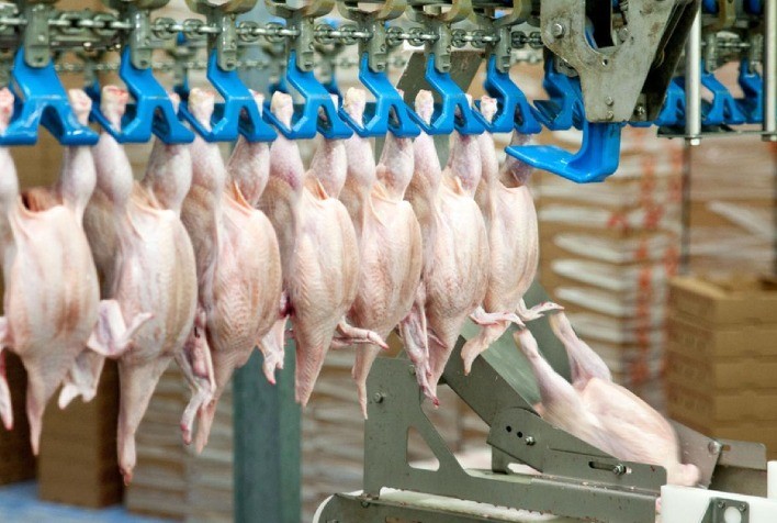 Oferta interna de carne de frango inspecionada aumentou 1,26% no 1º trimestre de 2023