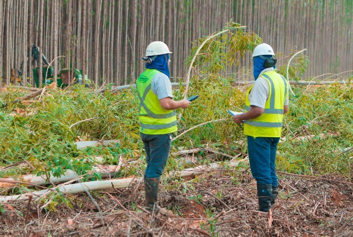 Tecnologia e sustentabilidade no agronegócio florestal