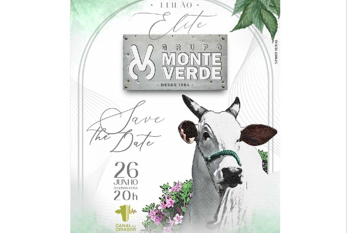 Grupo Monte Verde oferta 50 animais Nelore em leilão virtual