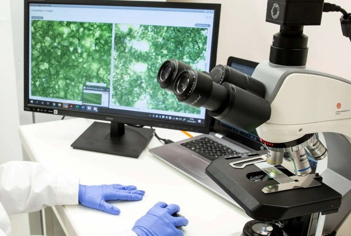 Elicit Plant lança plataforma para prevenção dos efeitos das mudanças climáticas