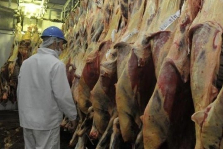 Volume exportado de carne bovina já supera o total embarcado em junho do ano passado